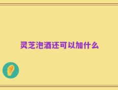 灵芝泡酒还可以加什么