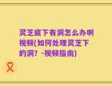 灵芝底下有洞怎么办啊视频(如何处理灵芝下的洞？-视频指南)