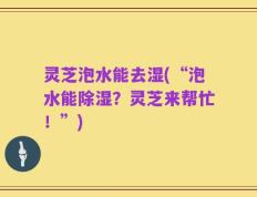 灵芝泡水能去湿(“泡水能除湿？灵芝来帮忙！”)