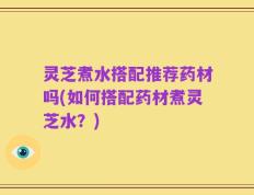 灵芝煮水搭配推荐药材吗(如何搭配药材煮灵芝水？)