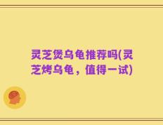灵芝煲乌龟推荐吗(灵芝烤乌龟，值得一试)