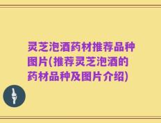 灵芝泡酒药材推荐品种图片(推荐灵芝泡酒的药材品种及图片介绍)