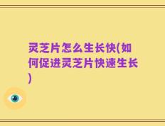 灵芝片怎么生长快(如何促进灵芝片快速生长)