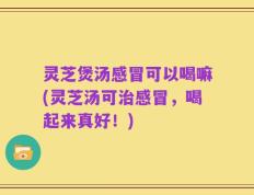 灵芝煲汤感冒可以喝嘛(灵芝汤可治感冒，喝起来真好！)