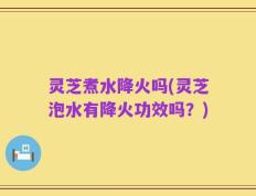 灵芝煮水降火吗(灵芝泡水有降火功效吗？)