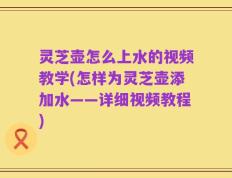 灵芝壶怎么上水的视频教学(怎样为灵芝壶添加水——详细视频教程)