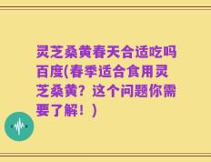 灵芝桑黄春天合适吃吗百度(春季适合食用灵芝桑黄？这个问题你需要了解！)