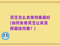 灵芝怎么食用效果最好(如何食用灵芝让其发挥最佳效果？)
