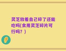 灵芝放着自己碎了还能吃吗(食用灵芝碎片可行吗？)