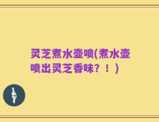 灵芝煮水壶喷(煮水壶喷出灵芝香味？！)