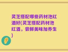 灵芝搭配哪些药材泡红酒好(灵芝搭配药材泡红酒，尝鲜美味加养生)