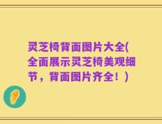 灵芝椅背面图片大全(全面展示灵芝椅美观细节，背面图片齐全！)