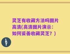 灵芝有收藏方法吗图片高清(高清图片演示：如何妥善收藏灵芝？)