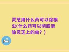 灵芝用什么药可以除根虫(什么药可以彻底清除灵芝上的虫？)