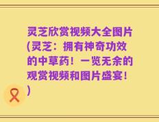灵芝欣赏视频大全图片(灵芝：拥有神奇功效的中草药！一览无余的观赏视频和图片盛宴！)