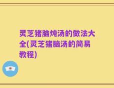 灵芝猪脑炖汤的做法大全(灵芝猪脑汤的简易教程)