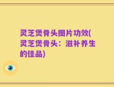 灵芝煲骨头图片功效(灵芝煲骨头：滋补养生的佳品)