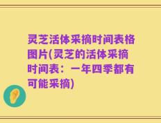 灵芝活体采摘时间表格图片(灵芝的活体采摘时间表：一年四季都有可能采摘)