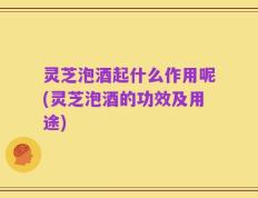 灵芝泡酒起什么作用呢(灵芝泡酒的功效及用途)