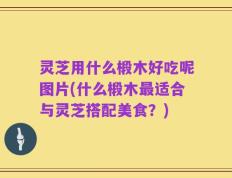 灵芝用什么椴木好吃呢图片(什么椴木最适合与灵芝搭配美食？)