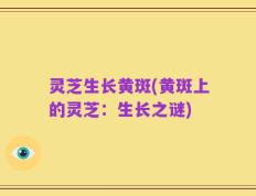 灵芝生长黄斑(黄斑上的灵芝：生长之谜)