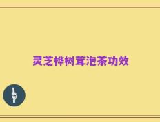 灵芝桦树茸泡茶功效