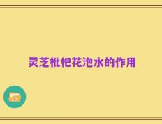 灵芝枇杷花泡水的作用
