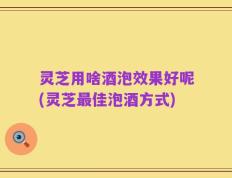 灵芝用啥酒泡效果好呢(灵芝最佳泡酒方式)