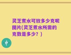 灵芝煮水可放多少克呢图片(灵芝煮水所需的克数是多少？)