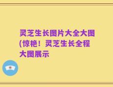 灵芝生长图片大全大图(惊艳！灵芝生长全程大图展示