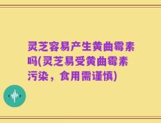 灵芝容易产生黄曲霉素吗(灵芝易受黄曲霉素污染，食用需谨慎)