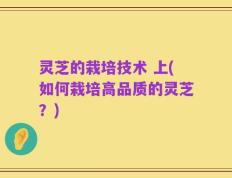 灵芝的栽培技术 上(如何栽培高品质的灵芝？)