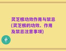灵芝根功效作用与禁忌(灵芝根的功效、作用及禁忌注意事项)
