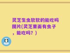 灵芝生虫软软的能吃吗图片(灵芝里面有虫子，能吃吗？)