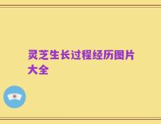 灵芝生长过程经历图片大全