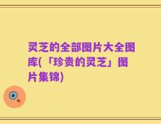 灵芝的全部图片大全图库(「珍贵的灵芝」图片集锦)