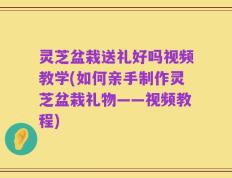 灵芝盆栽送礼好吗视频教学(如何亲手制作灵芝盆栽礼物——视频教程)