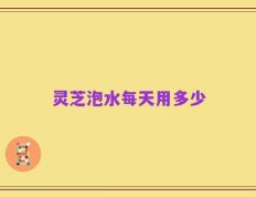 灵芝泡水每天用多少