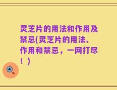 灵芝片的用法和作用及禁忌(灵芝片的用法、作用和禁忌，一网打尽！)