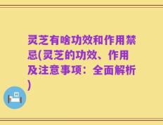 灵芝有啥功效和作用禁忌(灵芝的功效、作用及注意事项：全面解析)