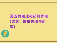 灵芝的用法和药效作用(灵芝：使用方法与药效)