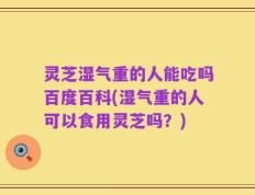 灵芝湿气重的人能吃吗百度百科(湿气重的人可以食用灵芝吗？)