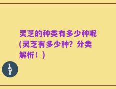 灵芝的种类有多少种呢(灵芝有多少种？分类解析！)