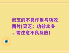灵芝的不良作用与功效图片(灵芝：功效众多，需注意不良反应)