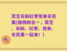 灵芝石斛红枣党参无花果(植物四合一，灵芝、石斛、红枣、党参、无花果一起来！)