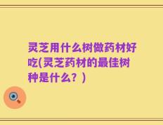 灵芝用什么树做药材好吃(灵芝药材的最佳树种是什么？)