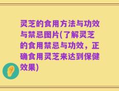 灵芝的食用方法与功效与禁忌图片(了解灵芝的食用禁忌与功效，正确食用灵芝来达到保健效果)