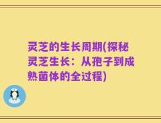 灵芝的生长周期(探秘灵芝生长：从孢子到成熟菌体的全过程)