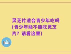灵芝片适合青少年吃吗(青少年能不能吃灵芝片？请看这里)