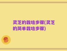 灵芝的栽培步骤(灵芝的简单栽培步骤)